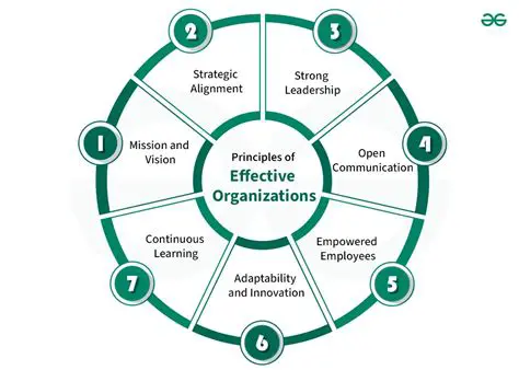 The Backbone of Efficiency: Unpacking the World of Administrative Excellence