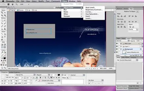 Adobe Photoshop and Macromedia Fireworks