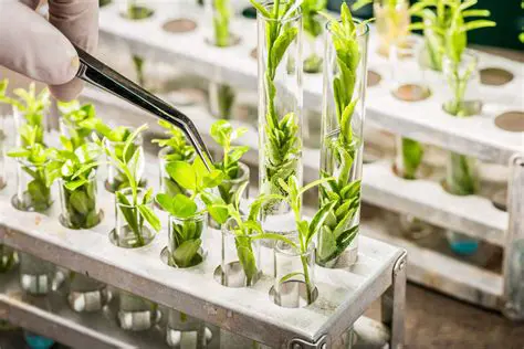 Agricultural biotechnology