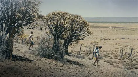 Alles wat jy moet weet oor Man City-wedstryde: Skedules, Resultate en Meer!