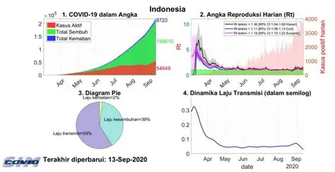 Analisis Mendalam Kasus COVID-19 Tahun 2023: Tren, Dampak, dan Pembelajaran