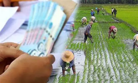 Ang Paghihirap ng Mga Magsasaka