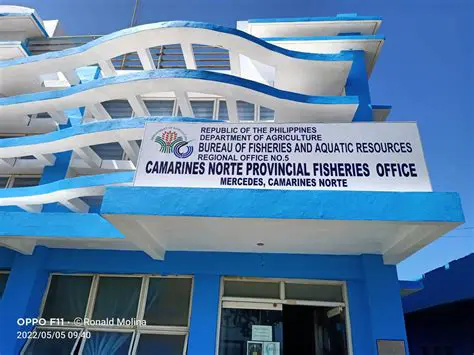 Ang Pagpapalakas ng Industriya