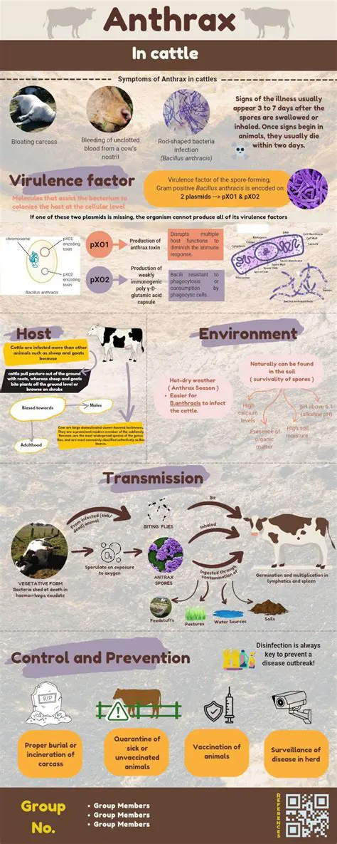 Anthrax: Understanding the Disease, Prevention, and Global Preparedness