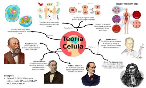 As Principais Premissas da Teoria Celular