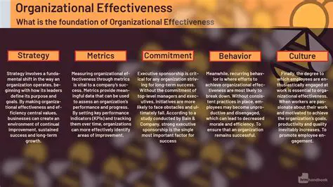 Assess the effectiveness of economic policies
