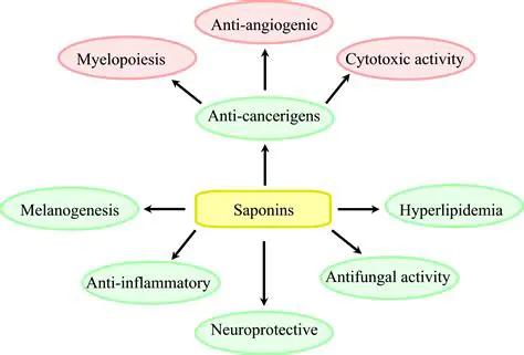 Background of Saponin Compounds