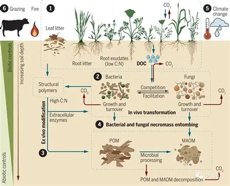 Benefits of Utilizing Agricultural Waste for Making POC