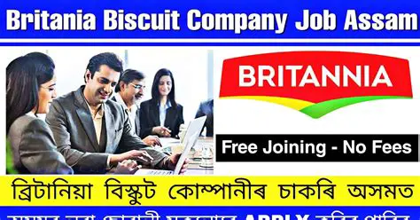 Navigating Biscuit Company Job Vacancies in 2022: A Comprehensive Guide