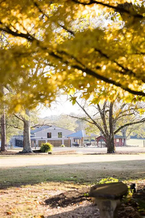 Breaking News: Major Developments Emerge from the IIISmokey Barn Area