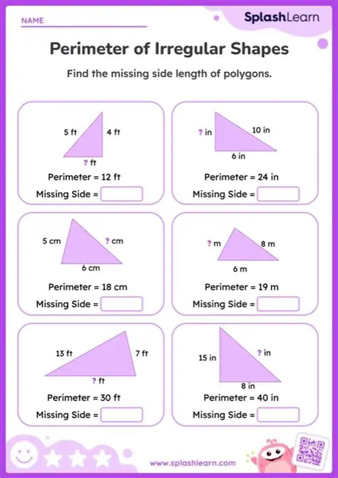 Calculating the Perimeter of the Rug