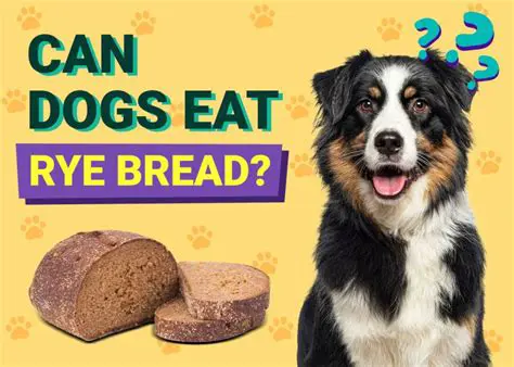 Can Dogs Eat Hot Dogs? Unpacking the Safety and Risks for Your Canine Companion