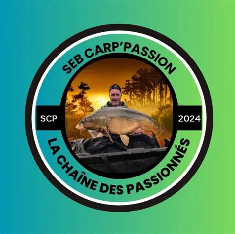 カープの情熱：広島を彩る赤き魂の軌跡と未来への展望