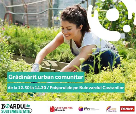 Carrefour România: Inovație, Sustenabilitate și Impact Comunitar