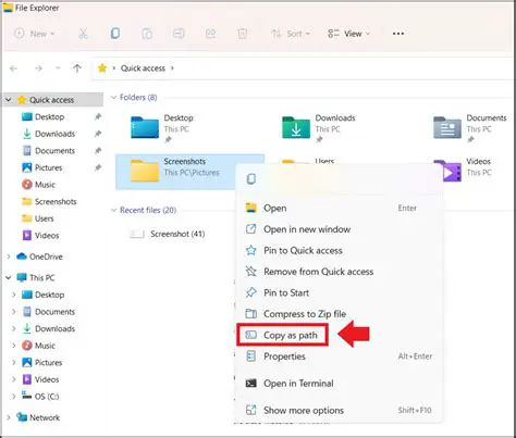 Check for duplicate libraries