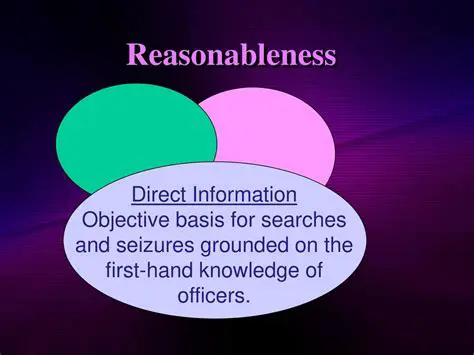 Checking the Reasonableness of the Solution