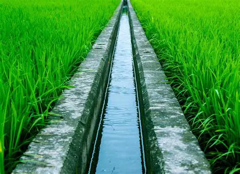 Continued Irrigation Water Source