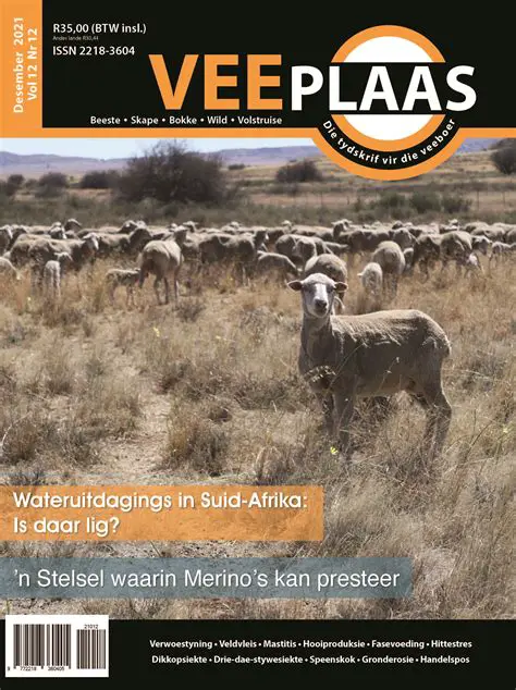 David Luiz: 'n Voetbal-Ikoon se Terugblik en Impak op Suid-Afrikaanse Voetbal