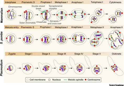 Decoding B1A2KK9D98: A Comprehensive Analysis and Its Implications
