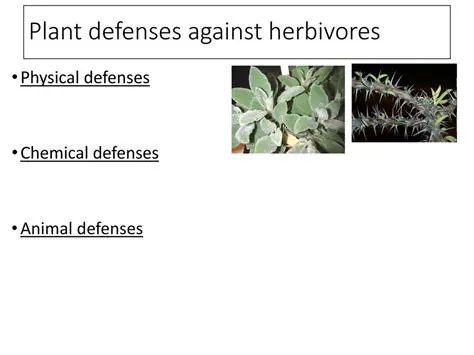 Defense Against Herbivores
