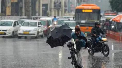 Delhi Pitampura Tomorrow: Your Hyperlocal Hourly Weather Forecast