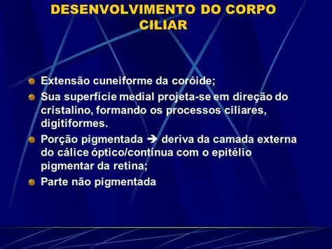 Desenvolvimento do Cuneiforme