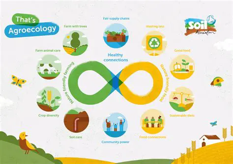 Unveiling Dual-Purpose Meaning: Exploring Versatility and Multifunctionality