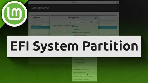 Understanding the EFI System Partition in Linux Mint