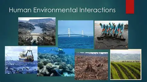 Environmental Interactions