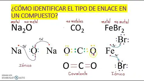 Escribe el tipo de enlace presente en los siguientes compuestos