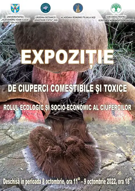 Evitarea confuziilor semantice