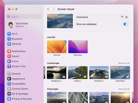 Features of Raone Screensaver