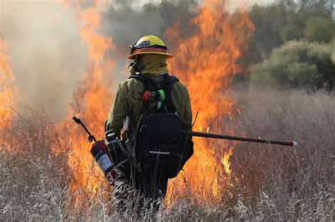 Is There a Fire Near Sacramento Today? Real-Time Updates & Safety Guide