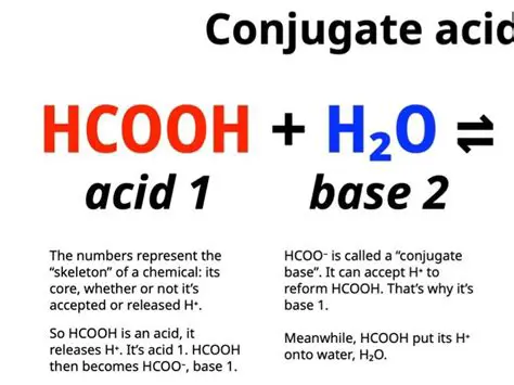 Formula of the Conjugate Acid