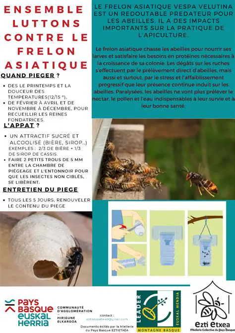 Frelons Asiatiques : Comprendre et Lutter Contre l'Espèce Invasive en France