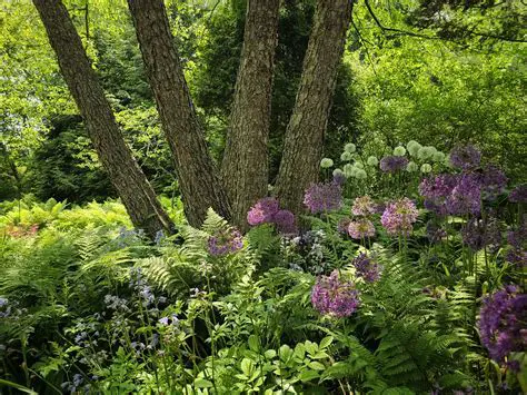 Frequencies of Garden Types