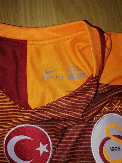 Galatasaray: Povezava s Tradicijo, Strastjo in Neprekosljivim Nogometom