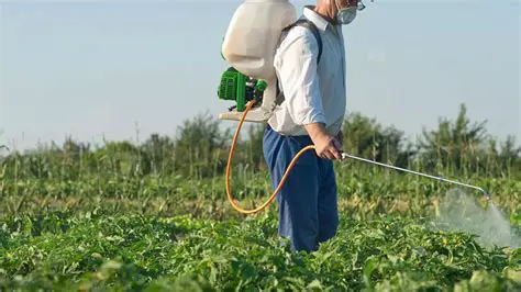 Ghid Complet: Cum și Când să Aplicați Erbicid Total pentru Controlul Buruienilor