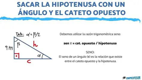 Hallar la longitud del cateto opuesto