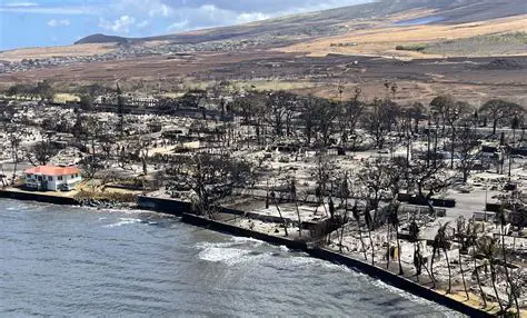 Hawaii News Now: Your Comprehensive Source for Island Updates