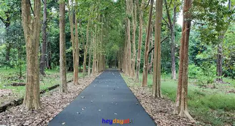 Hewan yang Ditemukan di Kebun Raya Purwodadi