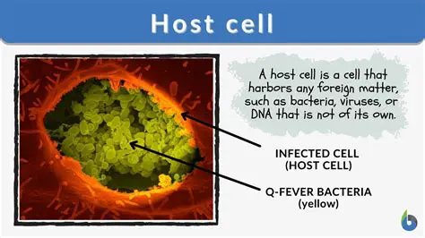 Host cell continues to function