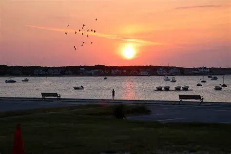 Breaking News: Your Comprehensive Guide to Hyannis News and Developments