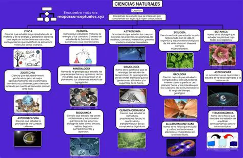 Identifica la naturaleza de la variable