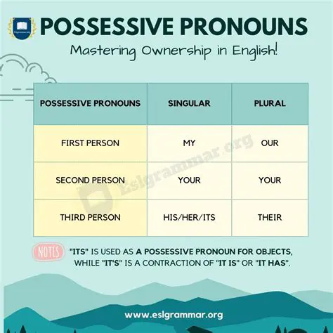 Identifying the Possessive Pronoun
