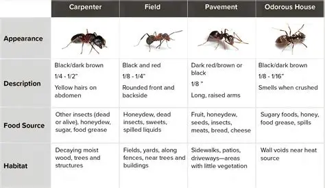Identifying the Type of Wiring
