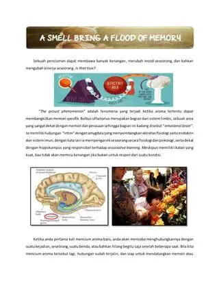 Iidara Aprilia: Exploring the 