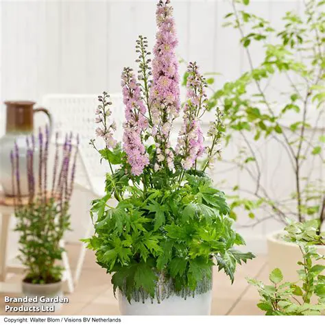 The Enigmatic iJason Kid Friday: Unraveling the Mystery of the Viral Sensation