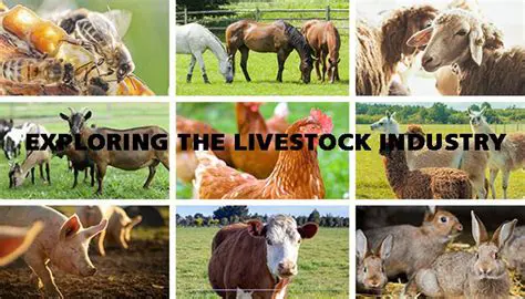 Implications for the Livestock Industry