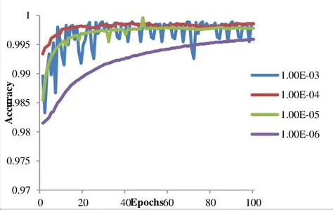 Implications on Model Performance